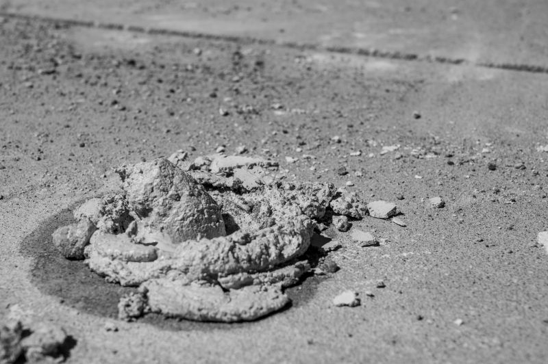 Moderate Climate Conditions